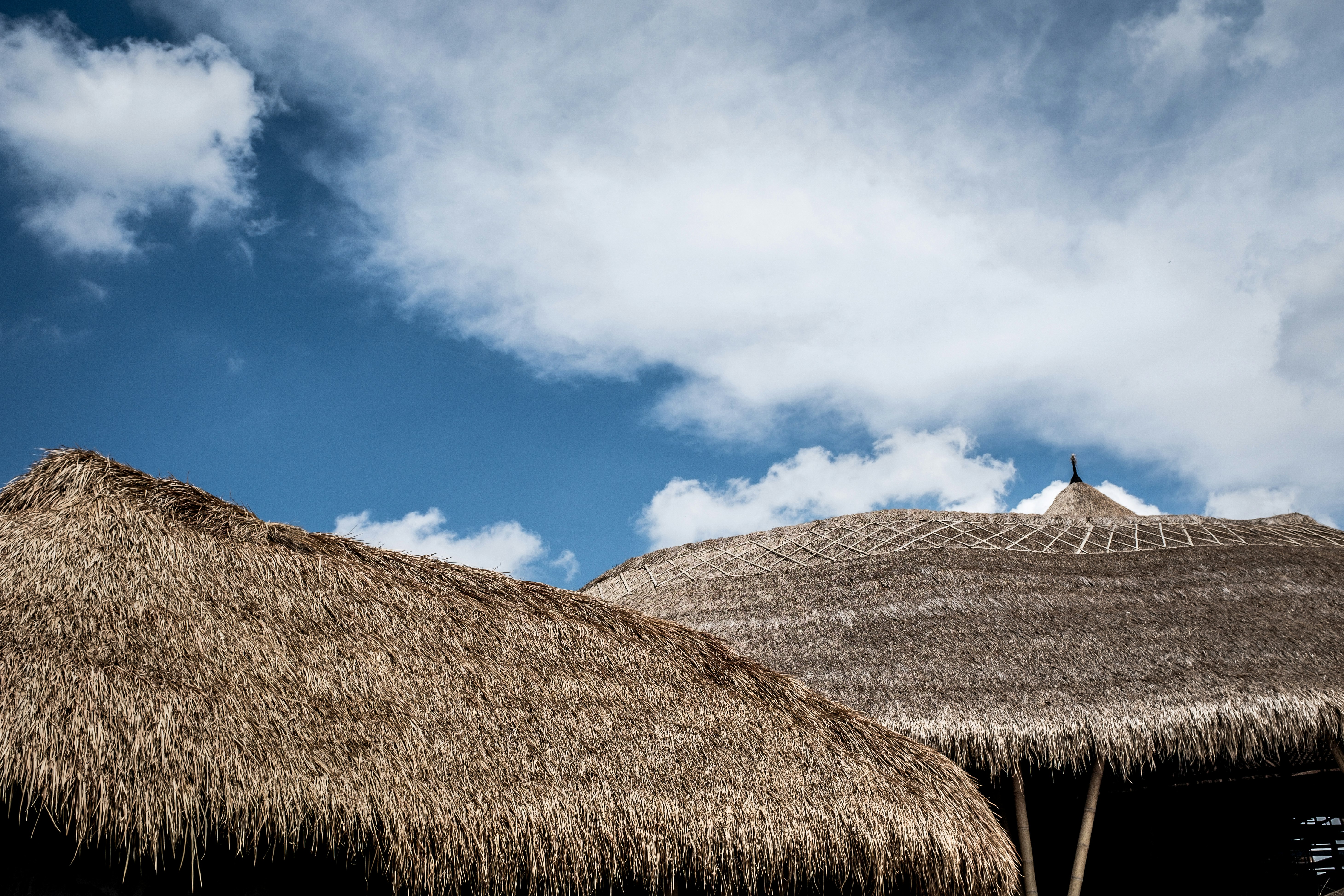 brown native roof